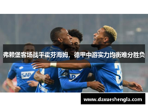 弗赖堡客场战平霍芬海姆，德甲中游实力均衡难分胜负